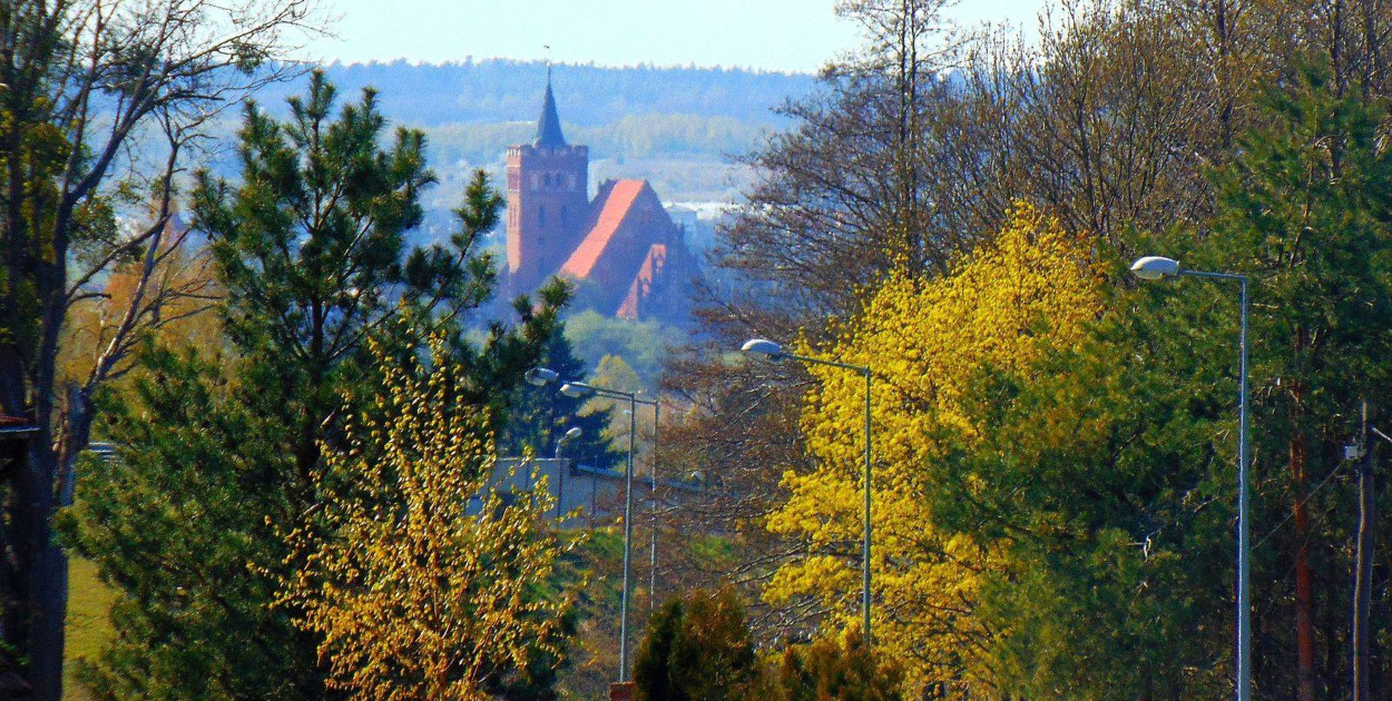 Fot. Krzysztof Cedro