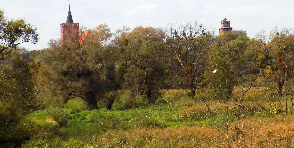 Fot. Krzysztof Cedro