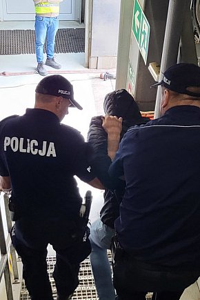 Wielka akcja strażaków, policjantów i służb medycznych niedaleko Brodnicy-29310379