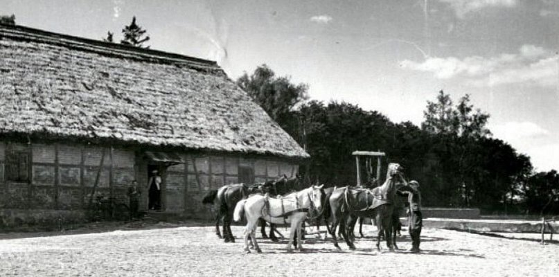 Brodnica i okolice. Za miastem eno wioska?