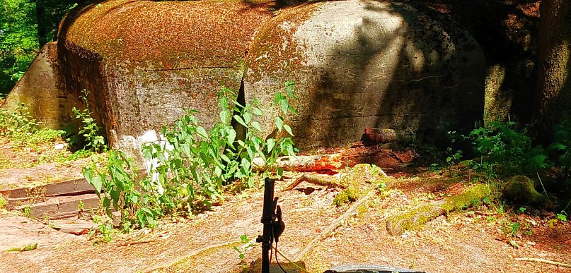 Czy w Brodnicy zasadna jest budowa schronów dla mieszkańców? 