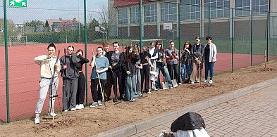 Brodnica. Młodzież przy szkole posadziła stare odmiany jabłoni!-29316723