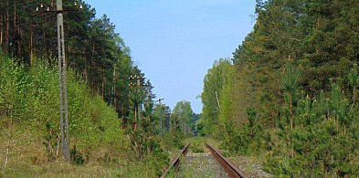Pociąg Brodnica – Działdowo. Wskazany ponadregionalny dialog!-29316802