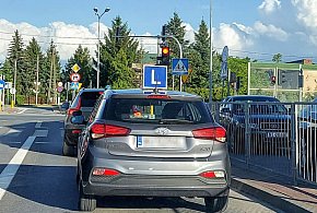 Egzamin na prawo jazdy będzie inny. Od 1 lipca nowe zasady-29317182