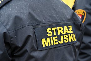 Zapuka strażnik, zapłacisz karę. Ruszyły kontrole w całej Polsce-29318007