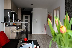 Rewolucja w wynajmie na doby. Nadchodzi koniec "wolnej amerykanki"-29318335