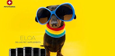 Suplementy na sierść dla psa - jak dieta i suplementacja wpływają na kondycję okry