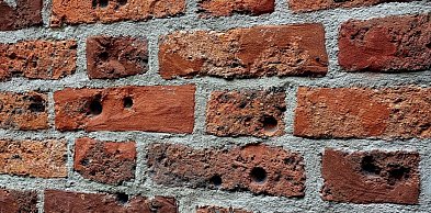 Brodnica. Nie uwierzysz, jaki sekret kryją ściany średniowiecznych kościołów!