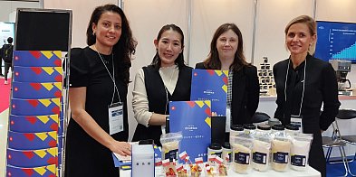 Brodnica na targach Hi Japan w Tokio-29318067