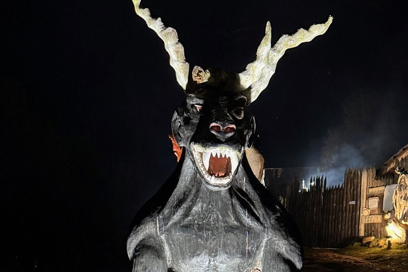 Niesamowite wydarzenie w środku lasu! [ZDJĘCIA]