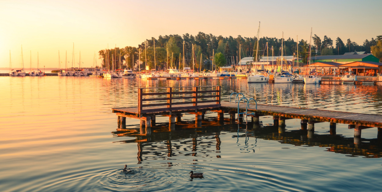 Źródło zdjęć: Adobe Express