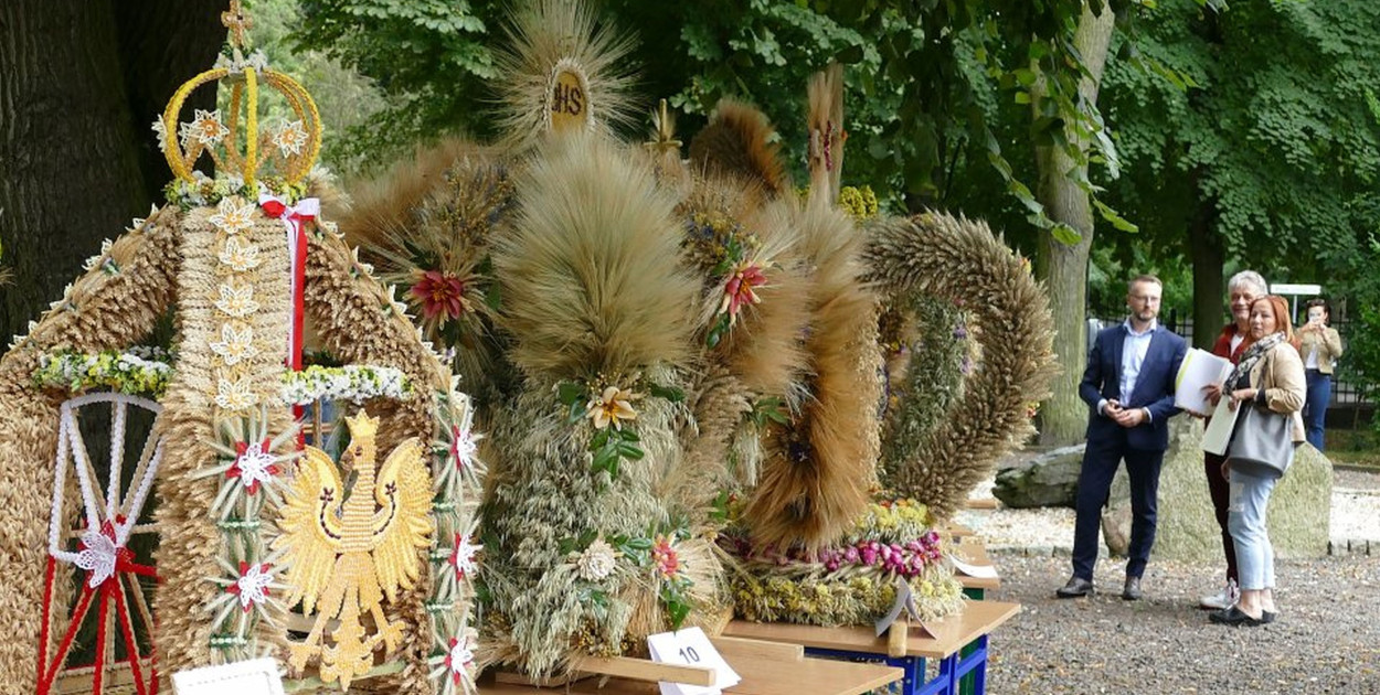 Fot. Przemysław Majchrzak/Starostwo Brodnica