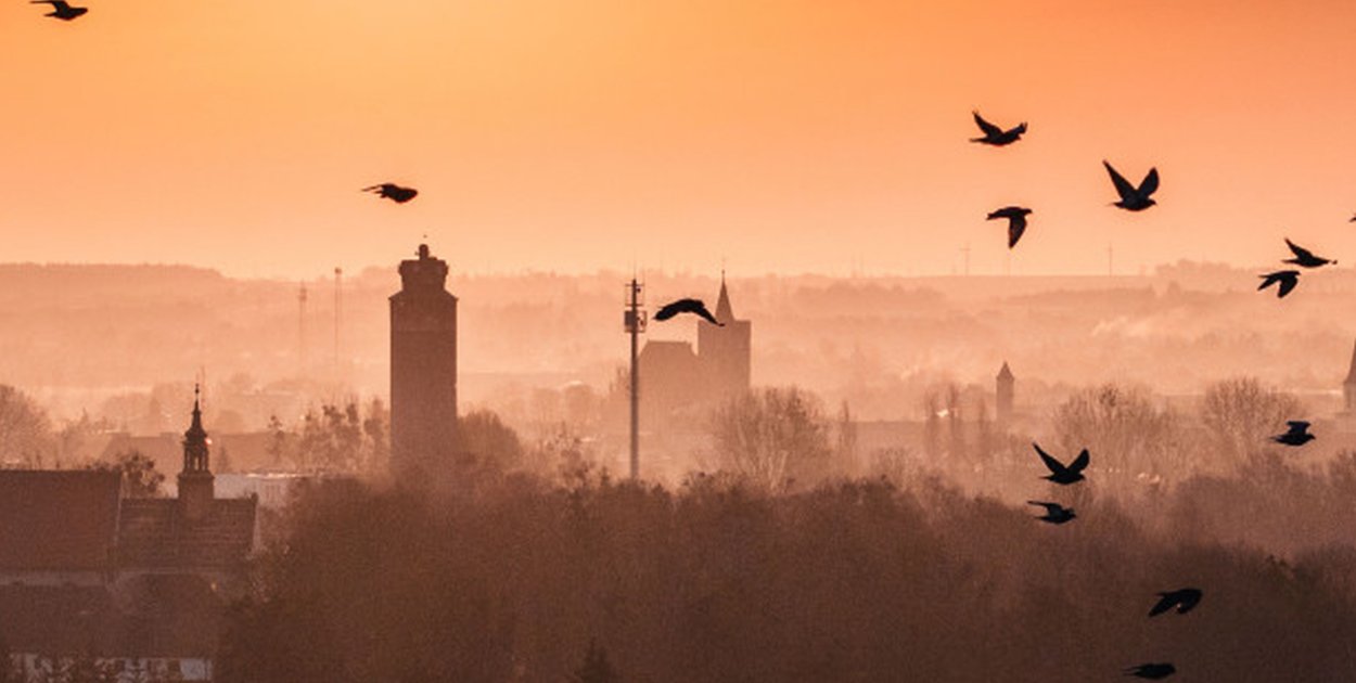 Brodnica to jedyne takie miasto powiatowe w kujawsko-pomorskim!